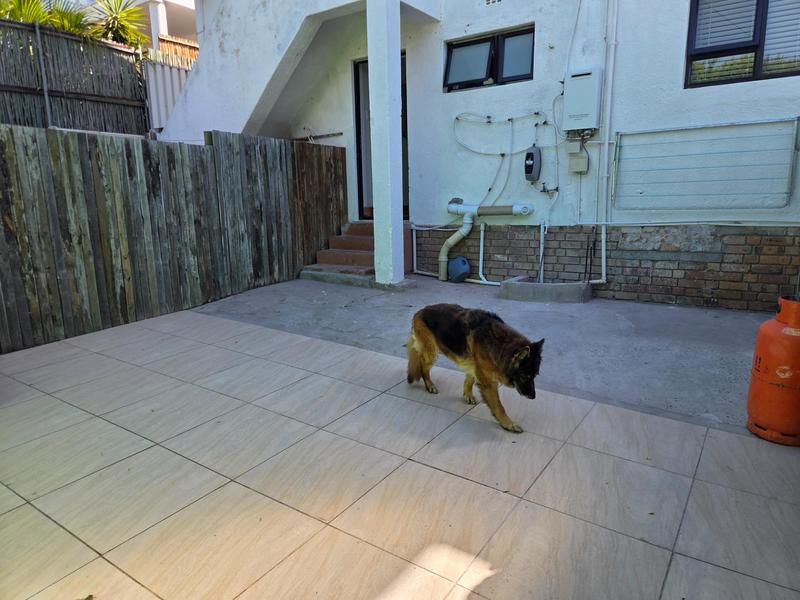 To Let 2 Bedroom Property for Rent in University Estate Western Cape